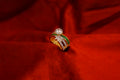 Glamour Gold-Finish Ring